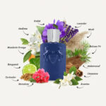 Parfums-De-Marly-Percival-EDP